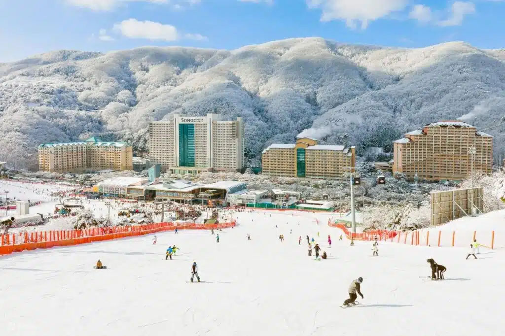 EarlyBird VisitedunejournéedapprentissageduskidanslastationdeskiduparcVivaldi