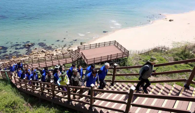 20250521111801231 2XCR8EFY